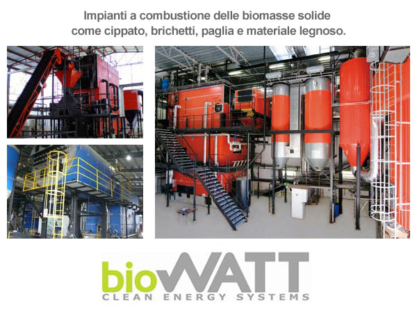 Biomassa Solida e Materiale Legnoso: Guida Impianti a Syngas BioWATT