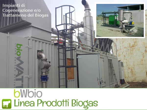 Cogenerazione a Biogas – Prodotti BioWATT