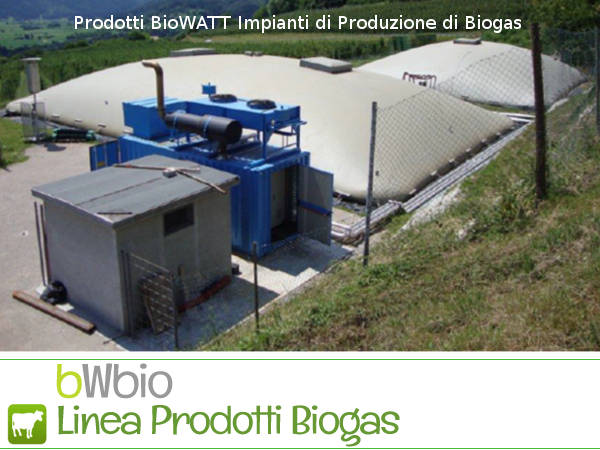 Impianti di Produzione di Biogas – Prodotti BioWATT
