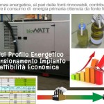 Efficienza Energetica: l’approccio di BioWATT