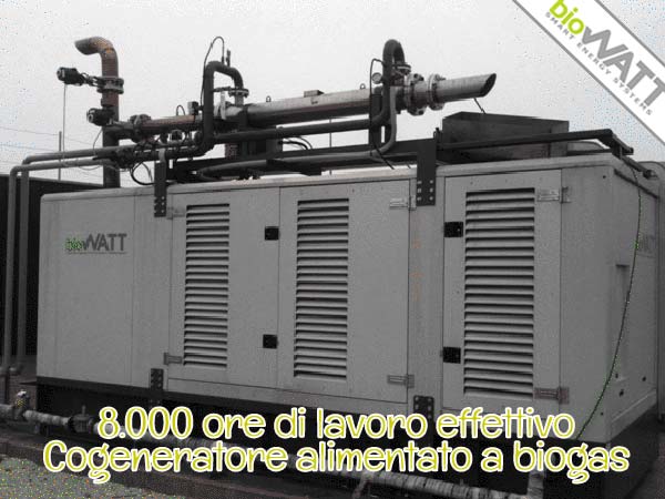 Oltre 8.000 ore di attività nel primo anno di installazione per il cogeneratore BioWATT dell’Az. Agr. Ambruosi e Viscardi